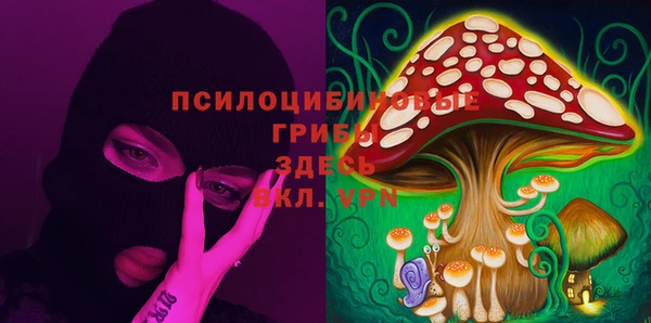 наркотики Карпинск